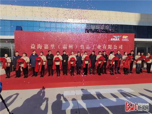 霸州一中爆料新闻,校园风云事件大揭秘  第2张